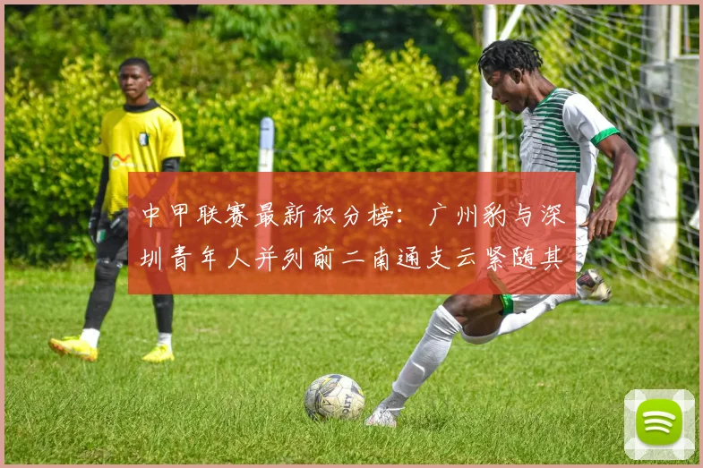 中甲联赛最新积分榜：广州豹与深圳青年人并列前二南通支云紧随其后