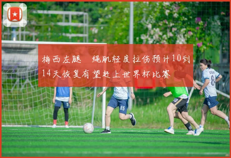 梅西左腿腘绳肌轻度拉伤预计10到14天恢复有望赶上世界杯比赛